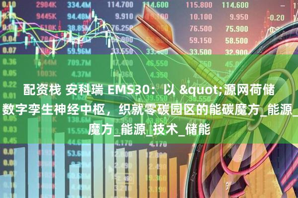 配资栈 安科瑞 EMS30：以 "源网荷储充" 数字孪生神经中枢，织就零碳园区的能碳魔方_能源_技术_储能
